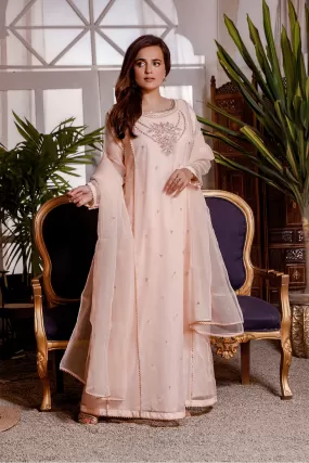 Handwork Embroidered Organza 3pc Suit | KAIRA | S202191