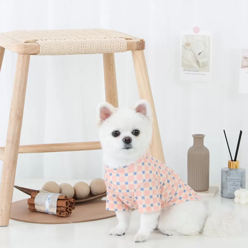 R logo Dogs Clothes Checked patterned Casual Cute Comfortable Clothing Sweaters Korean Designers Apparel Outfits Pastel Colours Pets Knit Banding