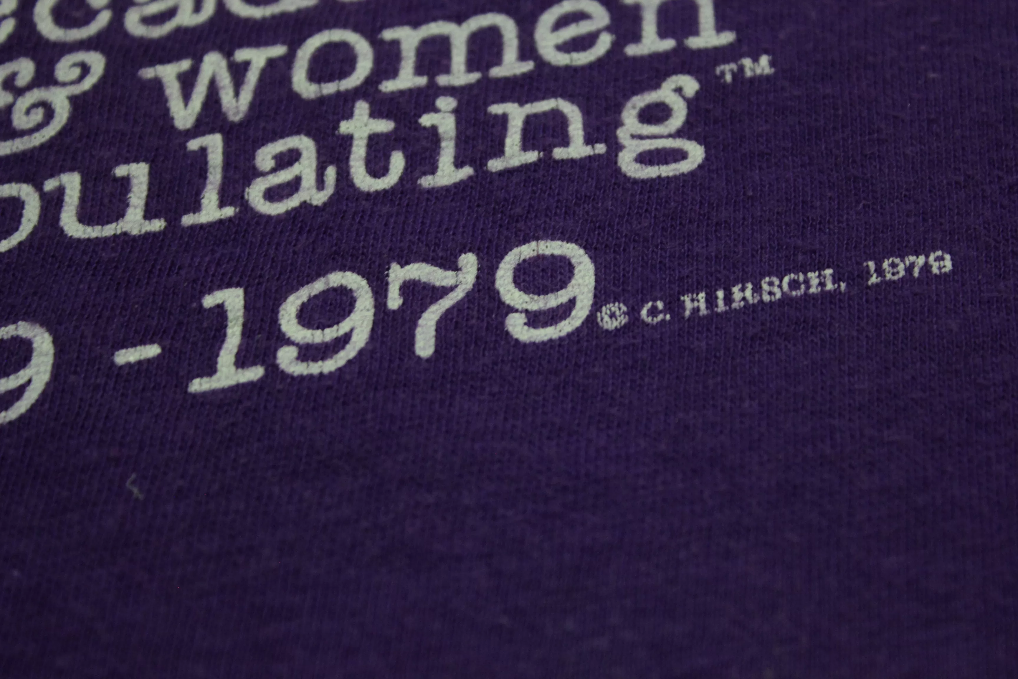 Williams College Decade of Men Women CoPopulating Vintage 1979 70's T-Shirt